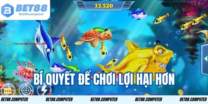 Nên áp dụng những chiến thuật phù hợp gia tăng cơ hội thắng